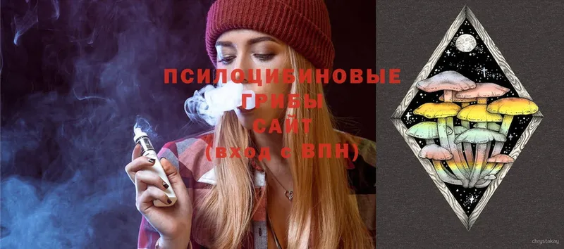 Галлюциногенные грибы Psilocybe  Куртамыш 