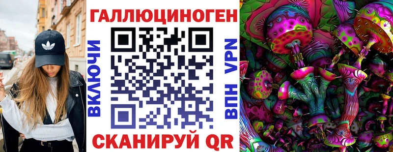 сколько стоит  Куртамыш  Псилоцибиновые грибы мухоморы 